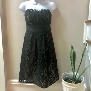 White House Black Market strapless lace‎ dress woman’s size 2